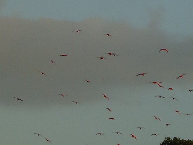 096