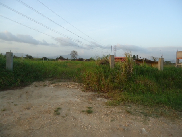DSC02761