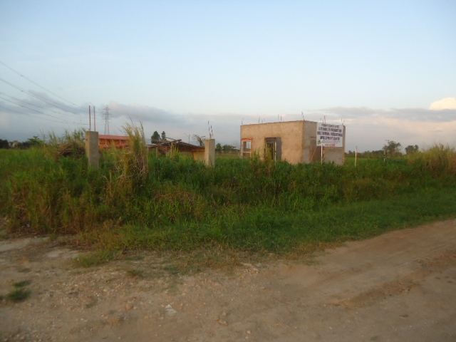 DSC02762