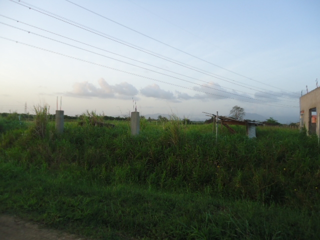 DSC02771