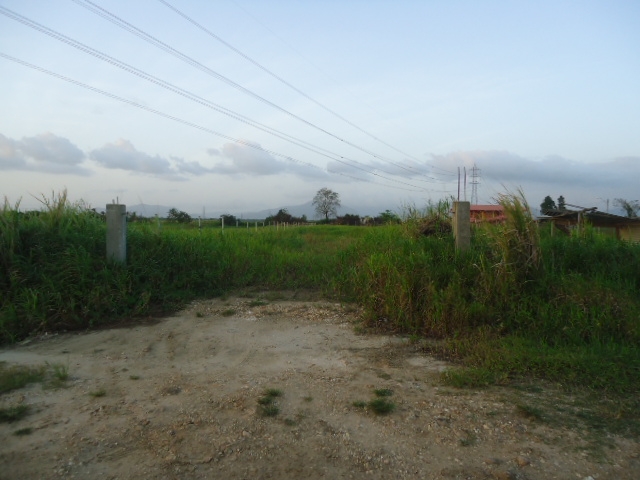 DSC02773