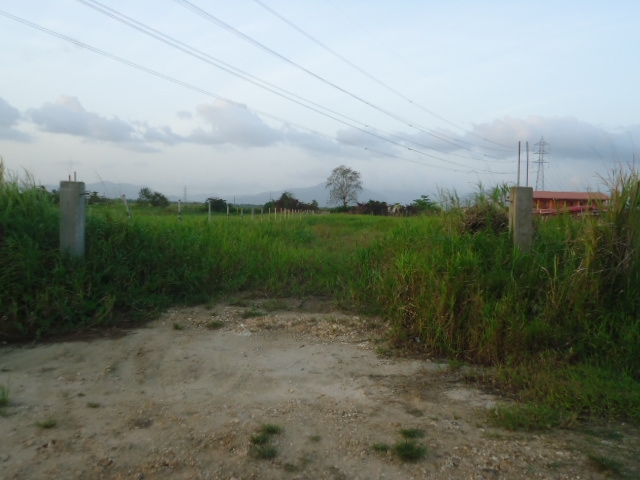 DSC02776