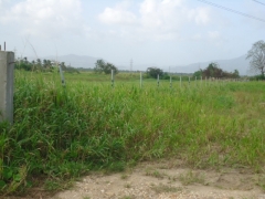 DSC02801