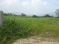 DSC02801