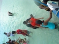 dsc05336