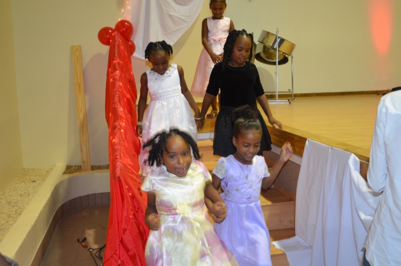 Dinner and Charity Show 2013