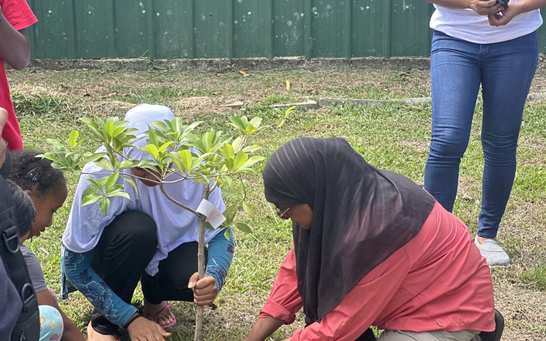 World Environment Day With Children